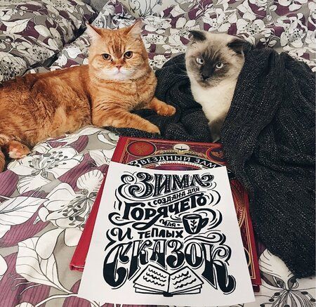 Фотография книги "Анна Рольская: Праздничный леттеринг с Анной Рольской. 18 шаблонов. Плакаты, открытки, календарь на год"