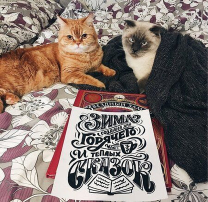 Фотография книги "Анна Рольская: Праздничный леттеринг с Анной Рольской. 18 шаблонов. Плакаты, открытки, календарь на год"