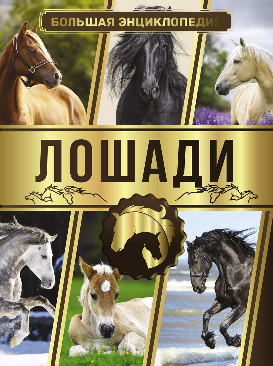 Обложка книги "Анна Спектор: Большая энциклопедия. Лошади"