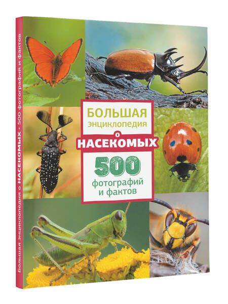 Фотография книги "Анна Спектор: Большая энциклопедия о насекомых. 500 фотографий и фактов"