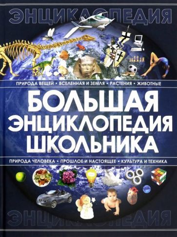 Обложка книги "Анна Спектор: Большая энциклопедия школьника"