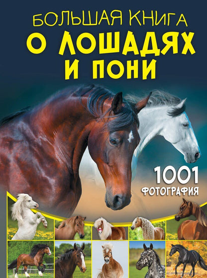 Обложка книги "Анна Спектор: Большая книга о лошадях и пони. 1001 фотография"