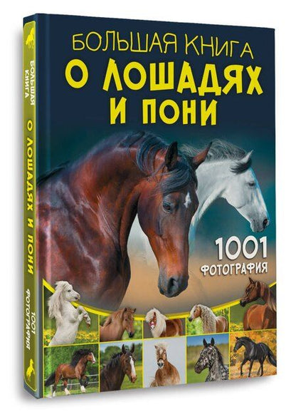 Фотография книги "Анна Спектор: Большая книга о лошадях и пони. 1001 фотография"