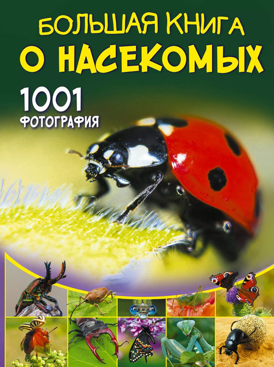 Обложка книги "Анна Спектор: Большая книга о насекомых. 1001 фотография"