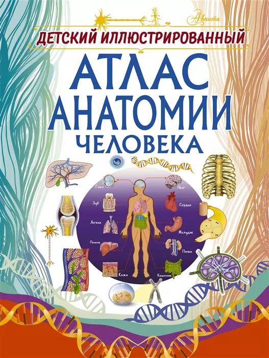 Обложка книги "Анна Спектор: Детский иллюстрированный атлас анатомии человека"