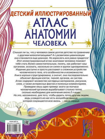 Фотография книги "Анна Спектор: Детский иллюстрированный атлас анатомии человека"