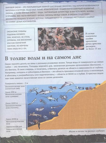 Фотография книги "Анна Спектор: Подводный мир"