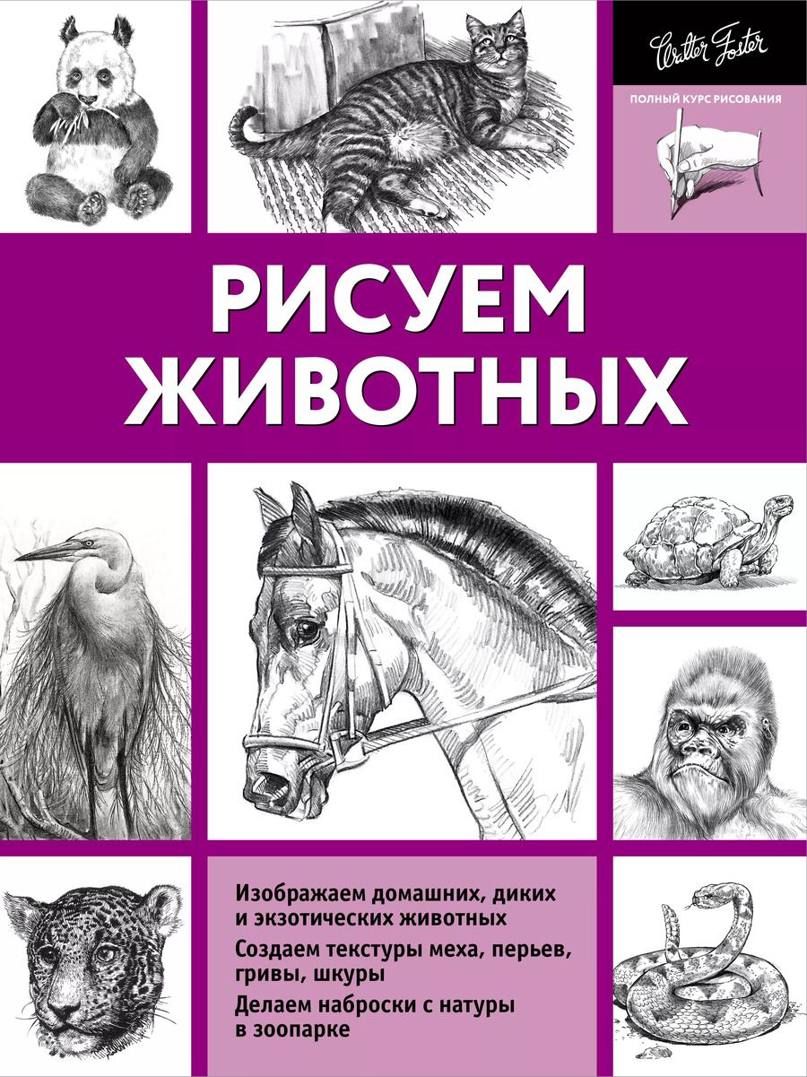 Обложка книги "Анна Степанова: Рисуем животных"