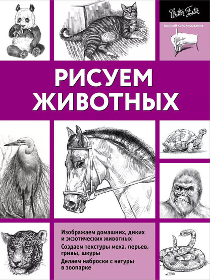 Обложка книги "Анна Степанова: Рисуем животных"