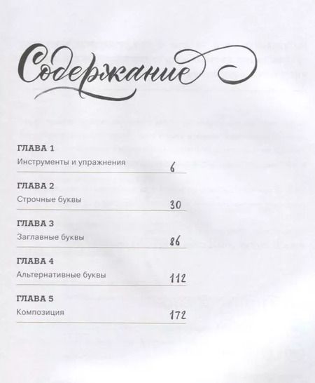 Фотография книги "Анна Суворова: Каллиграфия кистями. Советы, приемы и идеи для творчества (новое оформление)"