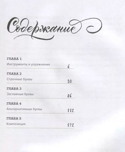 Фотография книги "Анна Суворова: Каллиграфия кистями. Советы, приемы и идеи для творчества (новое оформление)"