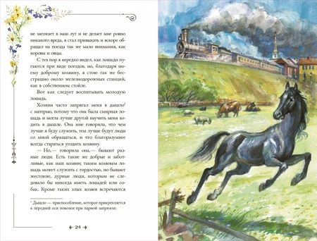 Фотография книги "Анна Сьюэлл: Черный Красавчик"