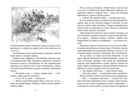 Фотография книги "Анна Сьюэлл: Черный Красавчик"