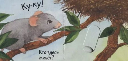 Фотография книги "Анна Таубе: Кто где живет?"