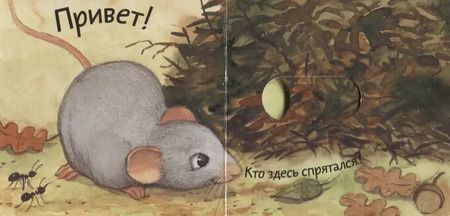 Фотография книги "Анна Таубе: Кто где живет?"