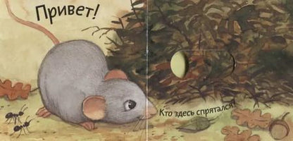 Фотография книги "Анна Таубе: Кто где живет?"