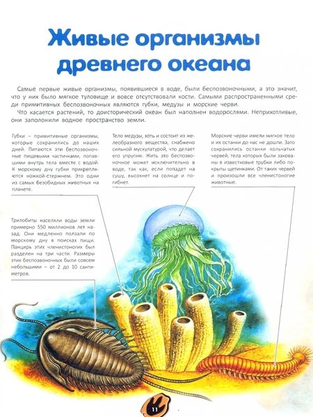 Фотография книги "Анна Тышко: 3D-энциклопедия. Динозавры"