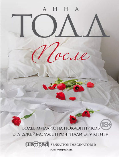 Обложка книги "Анна Тодд: После"