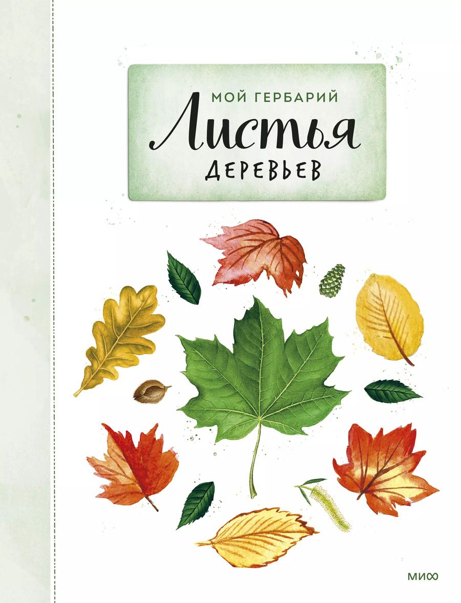 Обложка книги "Анна Васильева: Мой гербарий. Листья деревьев"