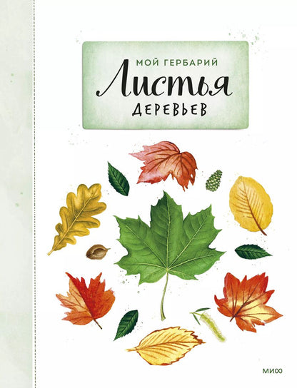 Обложка книги "Анна Васильева: Мой гербарий. Листья деревьев"