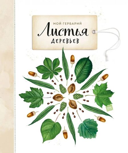 Фотография книги "Анна Васильева: Мой гербарий. Листья деревьев"