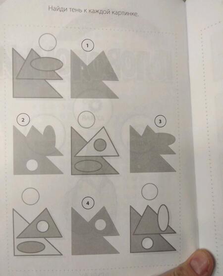 Фотография книги "Анна Вишневская: Любопытные головоломки (мГоловоломки) Вишневская"