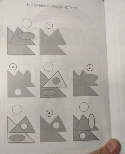 Фотография книги "Анна Вишневская: Любопытные головоломки (мГоловоломки) Вишневская"