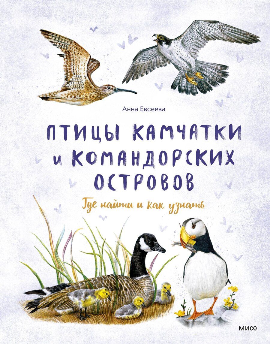 Обложка книги "Анна Евсеева: Птицы Камчатки и Командорских островов. Где найти и как узнать"
