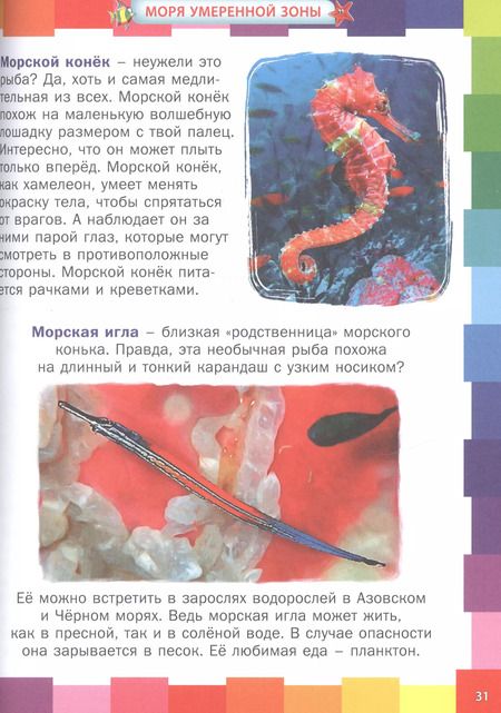 Фотография книги "Анна Забирова: Подводный мир для малышей. Детская энциклопедия"