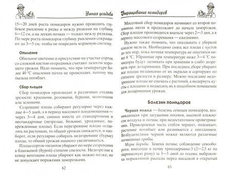 Фотография книги "Анна Зорина: Помидоры, огурцы"