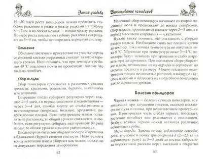 Фотография книги "Анна Зорина: Помидоры, огурцы"