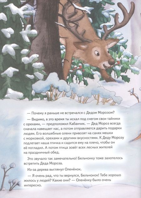 Фотография книги "Аннет Амрайн: Подарок для Деда Мороза. Полезные сказки"