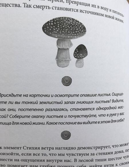 Фотография книги "Аннетт Лаврейсен: Синрин-йоку. Лесные ванны"