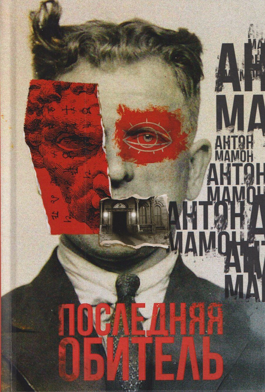 Обложка книги "Антон Мамон: Последняя обитель"
