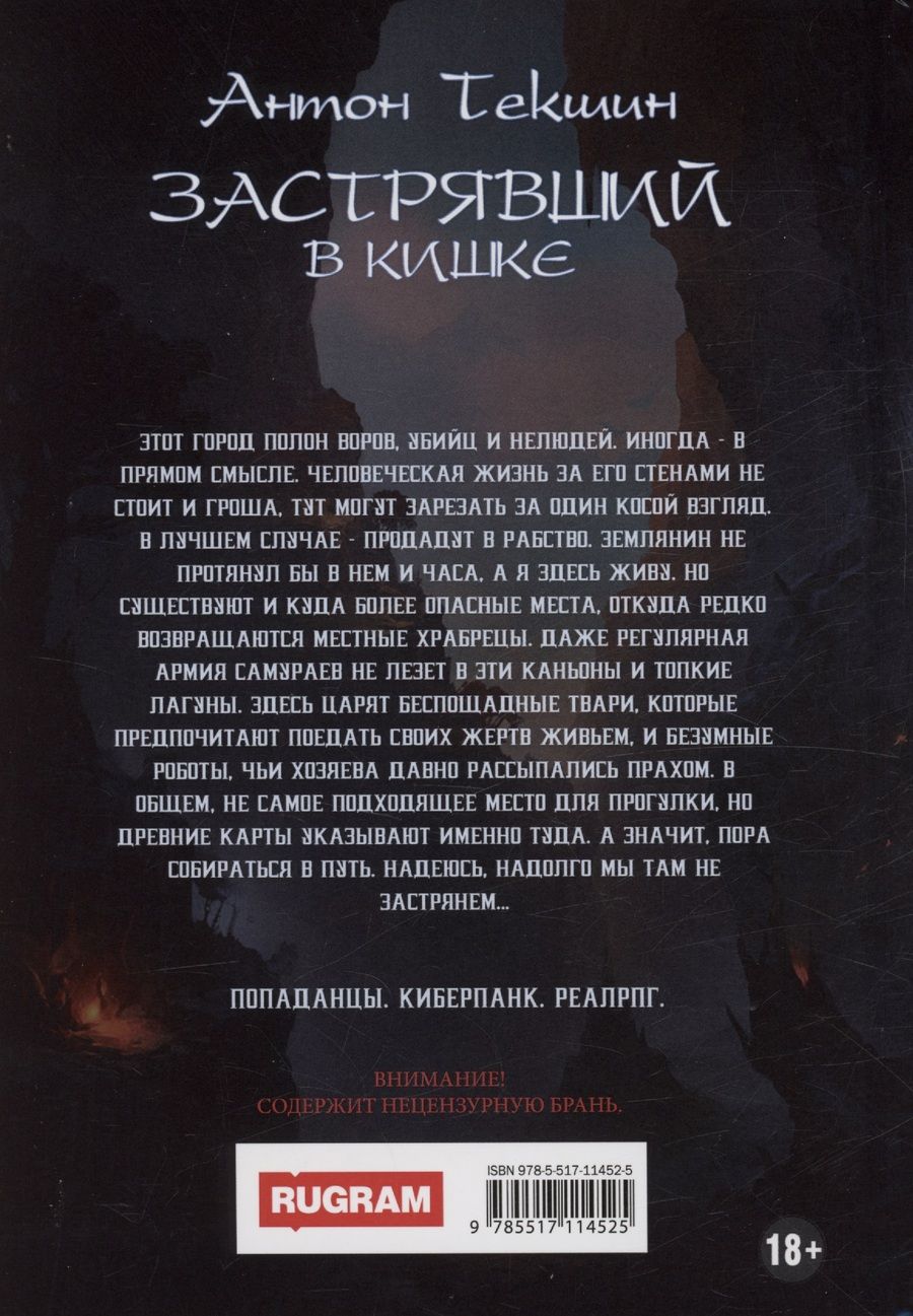 Обложка книги "Антон Текшин: Застрявший. Книга 3. Застрявший в Кишке"