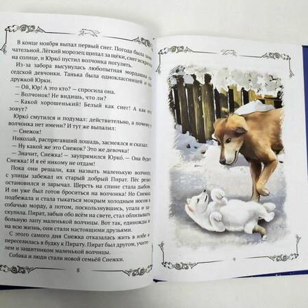 Фотография книги "Антоненко: Снежка"