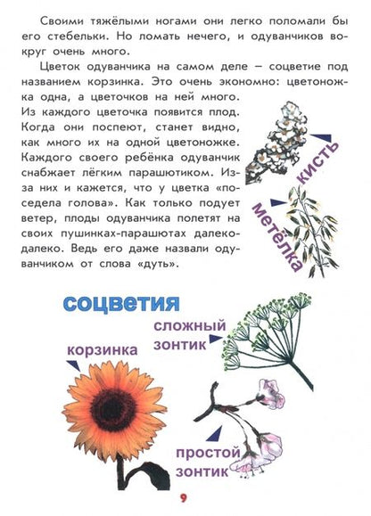Фотография книги "Антонина Лукьянова: Настоящая ботаника для мальчиков и девочек"