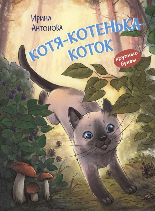 Обложка книги "Антонова: Котя-котенька-коток"