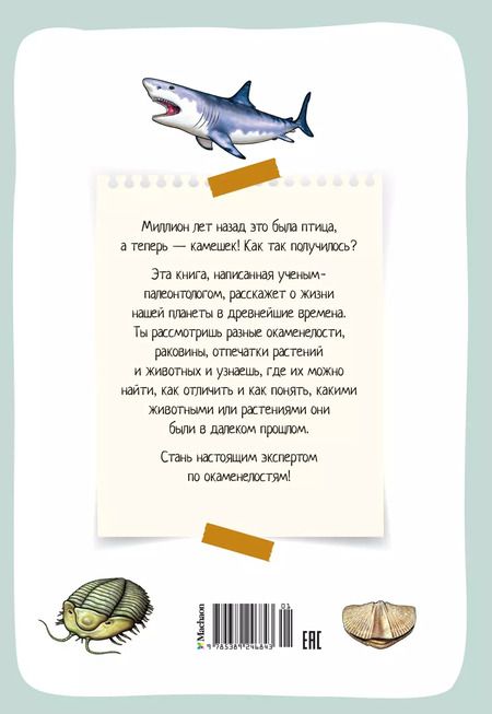 Фотография книги "Антуан Балзо: Древний мир. Окаменелости. Животные и растения. Наши предки"