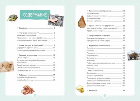 Фотография книги "Антуан Балзо: Древний мир. Окаменелости. Животные и растения. Наши предки"