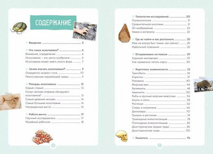 Фотография книги "Антуан Балзо: Древний мир. Окаменелости. Животные и растения. Наши предки"