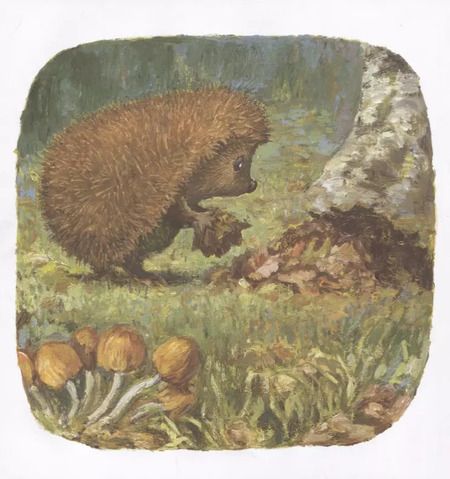 Фотография книги "Антун Крингс: Ёжик Молчок, или История дружбы"