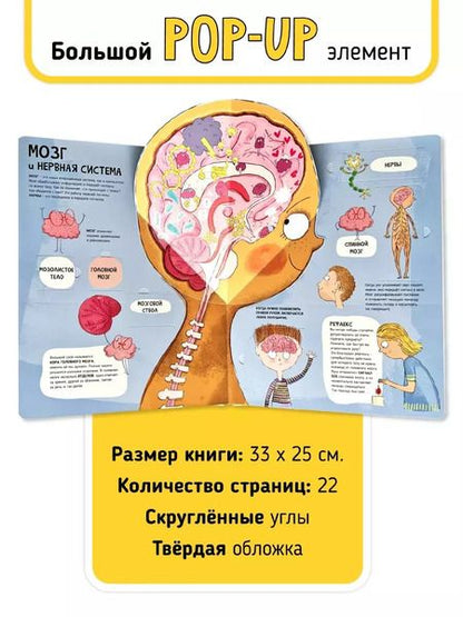 Фотография книги "Аня де: Мои первые открытия «Тело человека»"