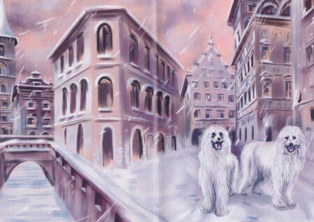 Фотография книги "Анюта Соколова: Меня зовут Ро-де-ри!"