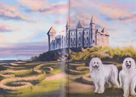 Фотография книги "Анюта Соколова: Меня зовут Ро-де-ри!"