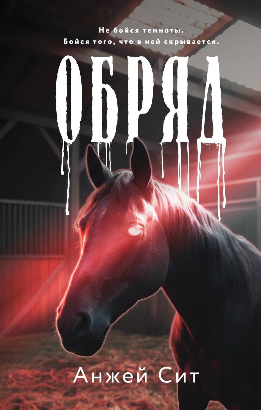 Обложка книги "Анжей Сит: Обряд"