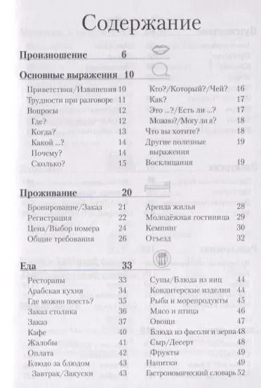 Фотография книги "Арабский разговорник и словарь"