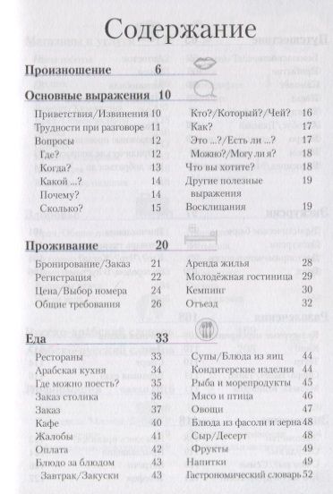 Фотография книги "Арабский разговорник и словарь"