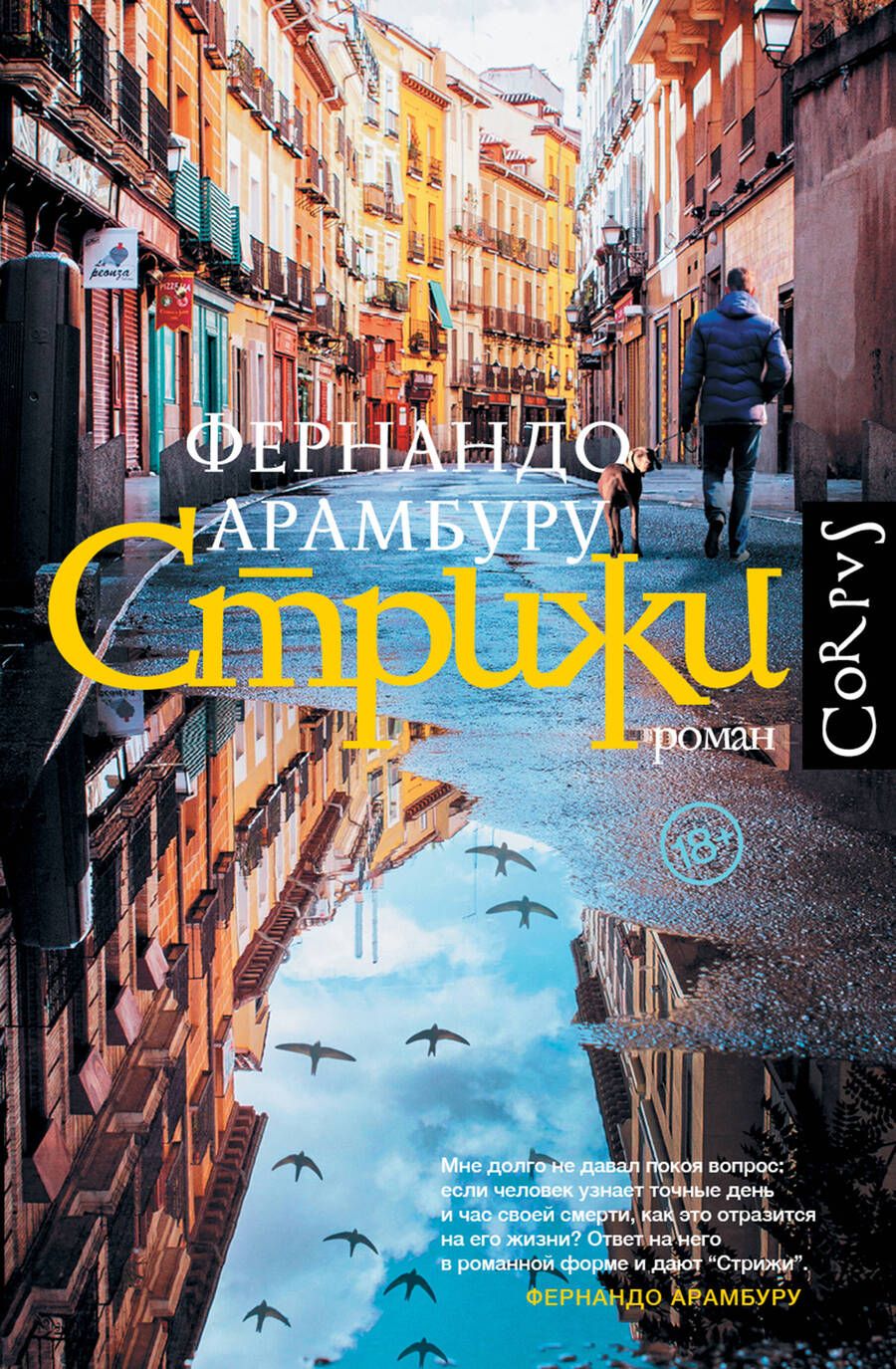 Обложка книги "Арамбуру: Стрижи"