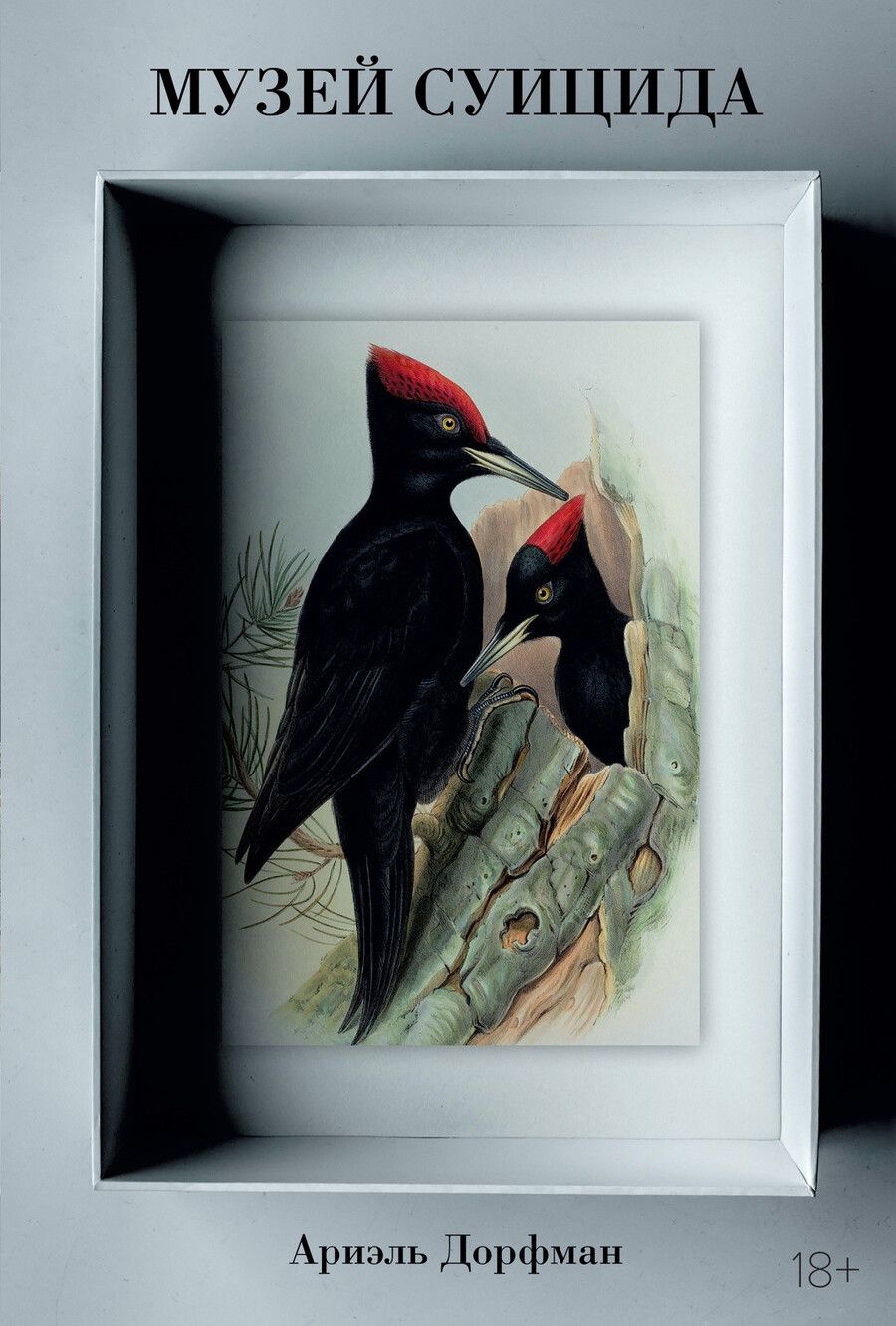 Обложка книги "Ариэль Дорфман: Музей суицида"